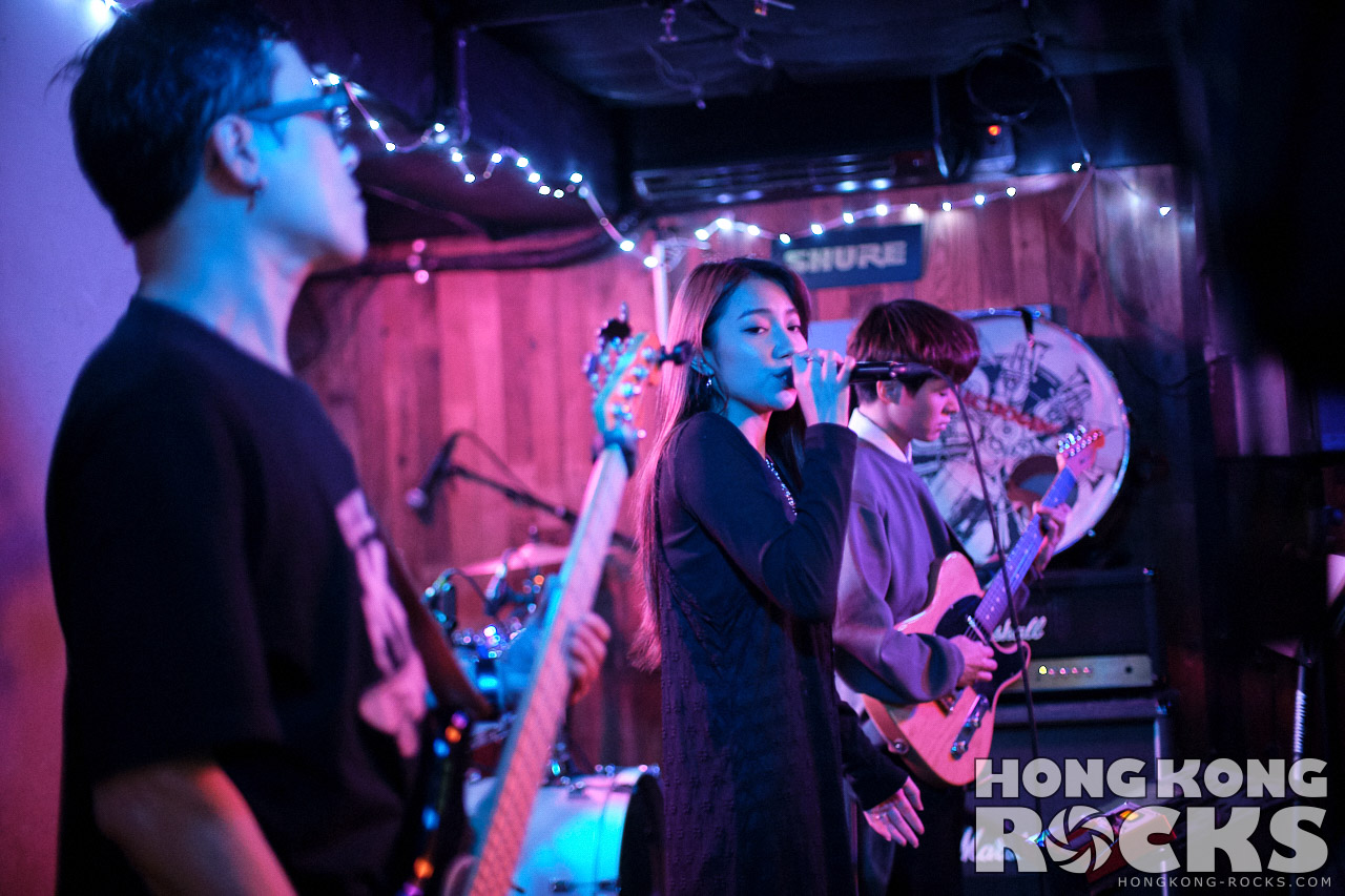 Cooper, photo taken in n/a, n/a, n/a, n/a